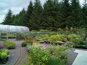 corachie clematis garden centre exterior