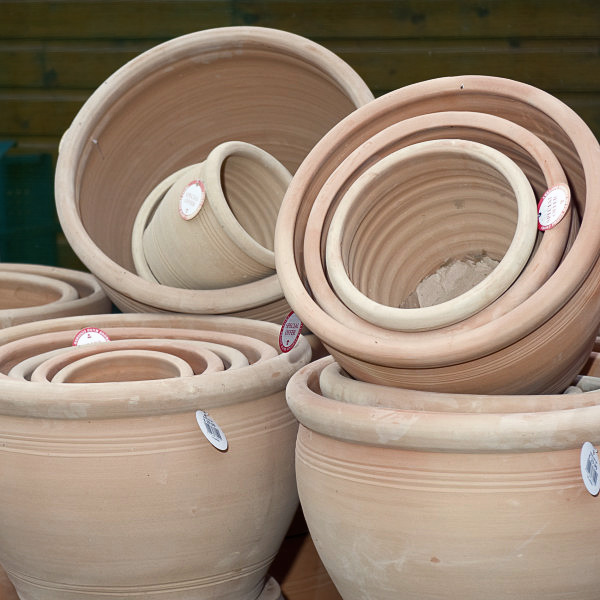 terracotta plant pots